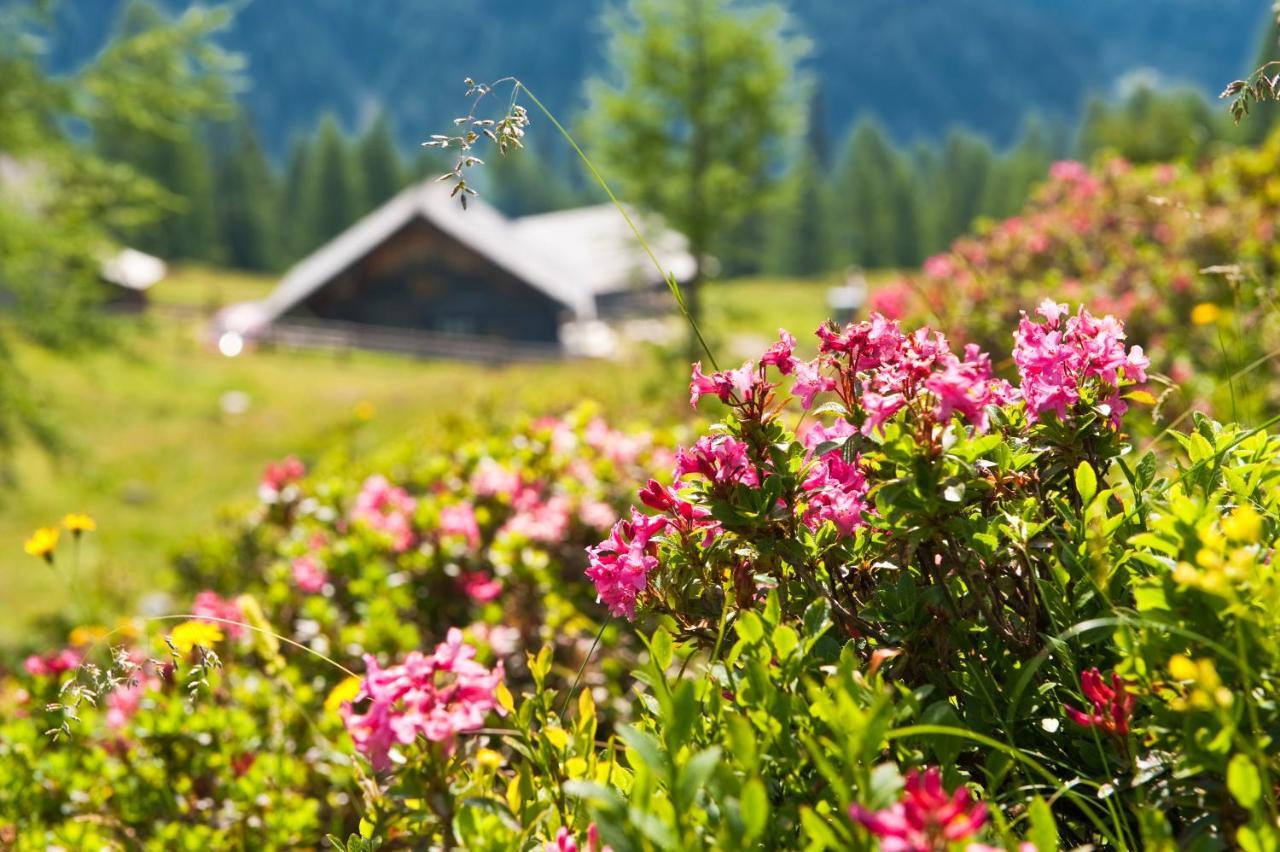 Landhaus Steiner Altenmarkt im Pongau Exteriér fotografie