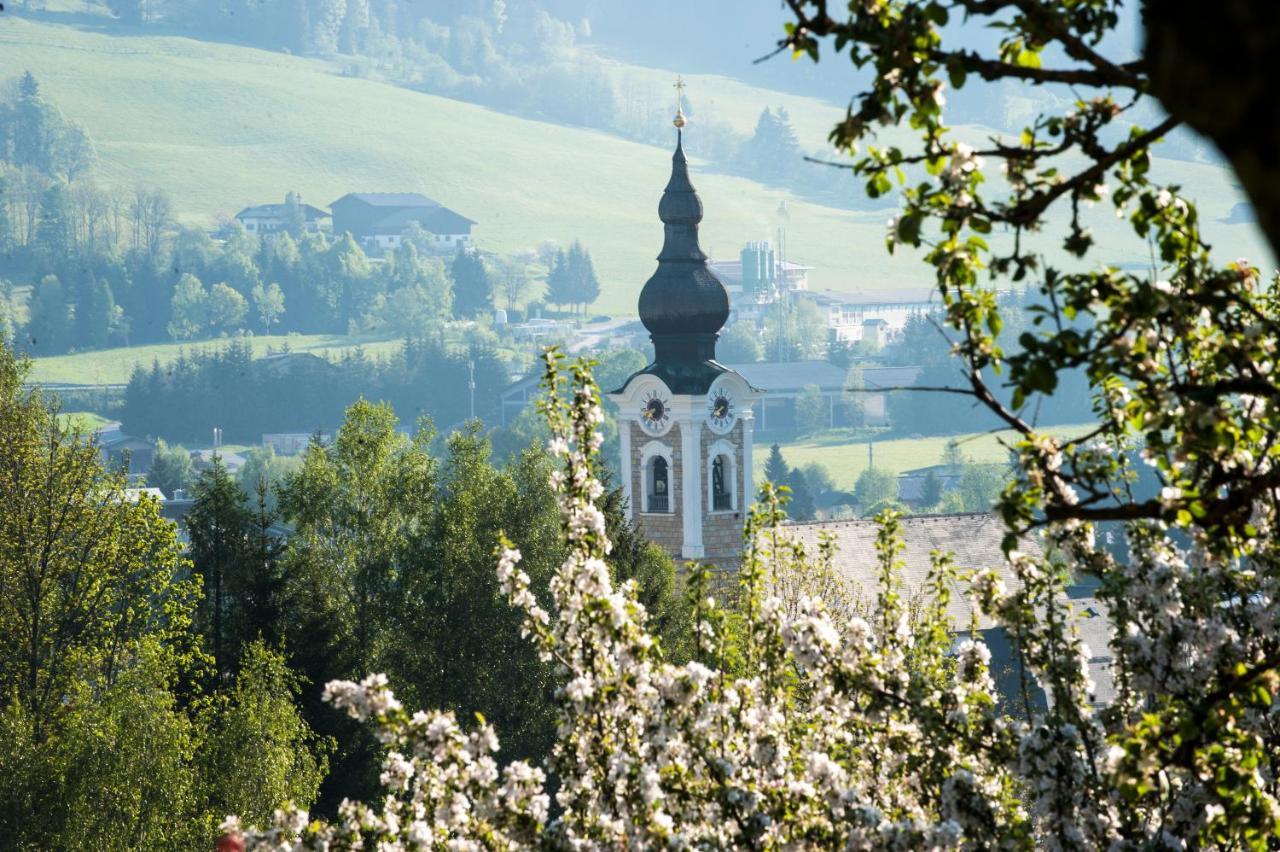 Landhaus Steiner Altenmarkt im Pongau Exteriér fotografie